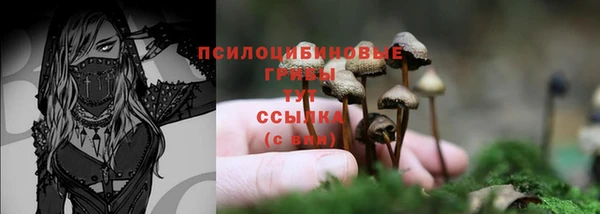 кокс Гусев