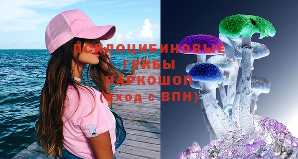 марки lsd Гусь-Хрустальный